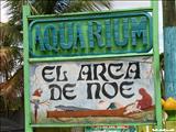 El Arca de Noé - QUEBRADILLAS